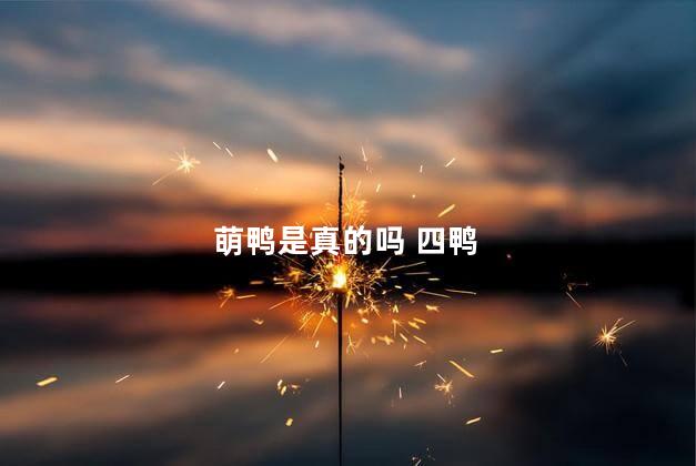 萌鸭是真的吗 四鸭